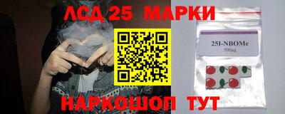 a pvp Свободный
