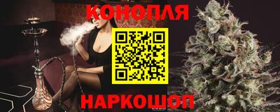 a pvp Свободный